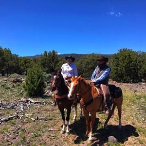 Meet your Posher, Elise